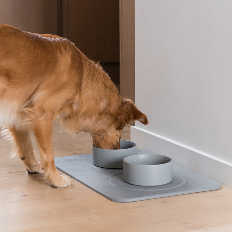 Dog Bowls – Dorai Home