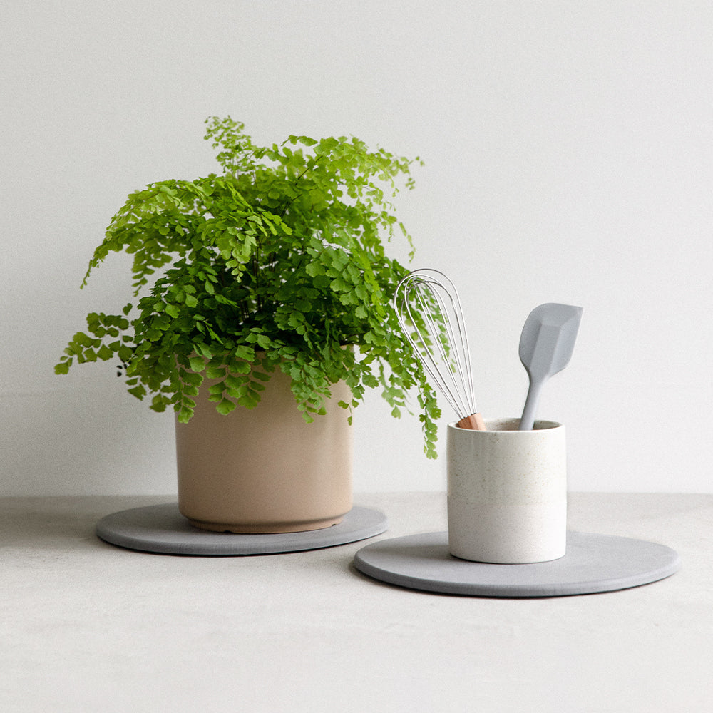 stone plant saucer being used for organizing