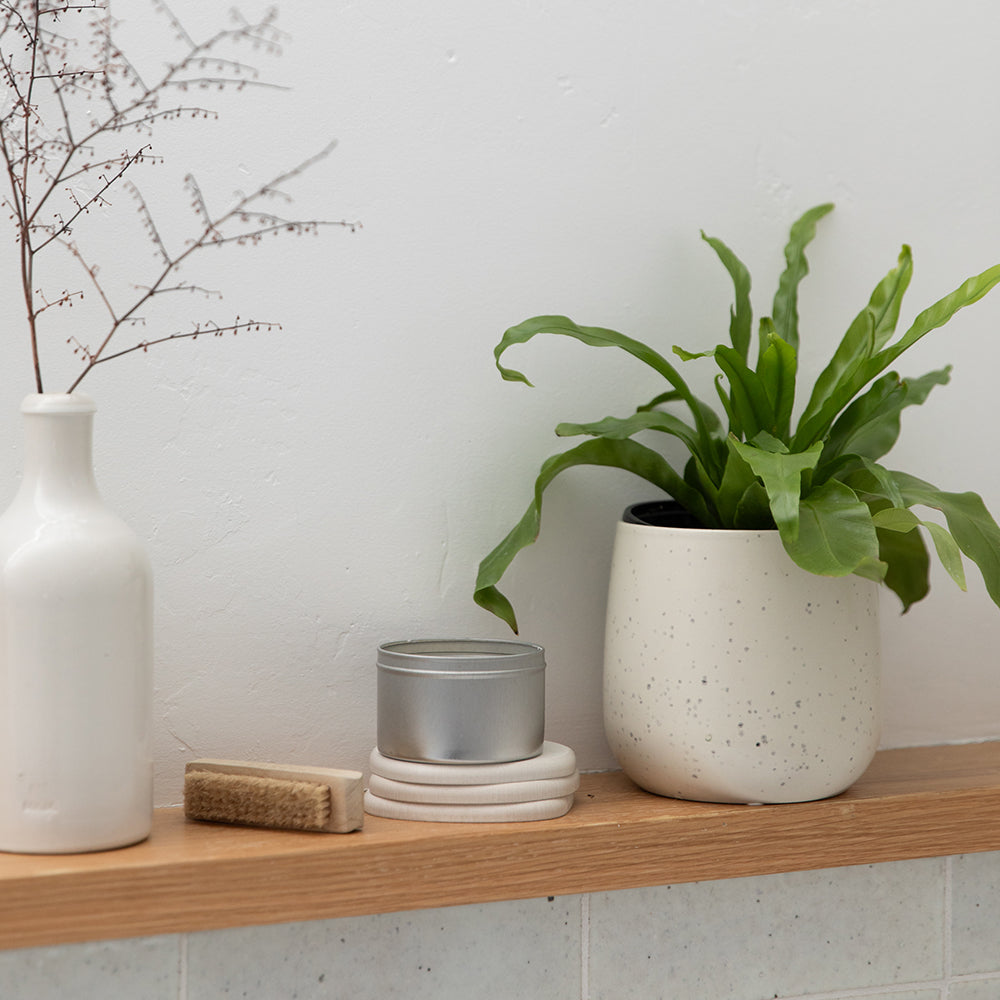stone coasters on shelf with plant