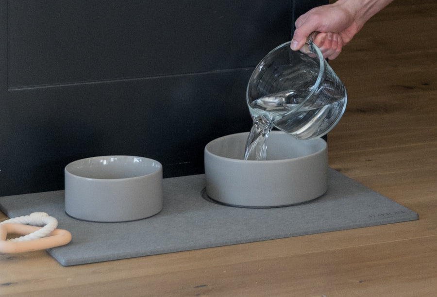 water being poured into large dog water bowl