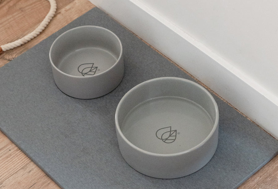 modern feeding station for large or medium dog on quick-drying stone base