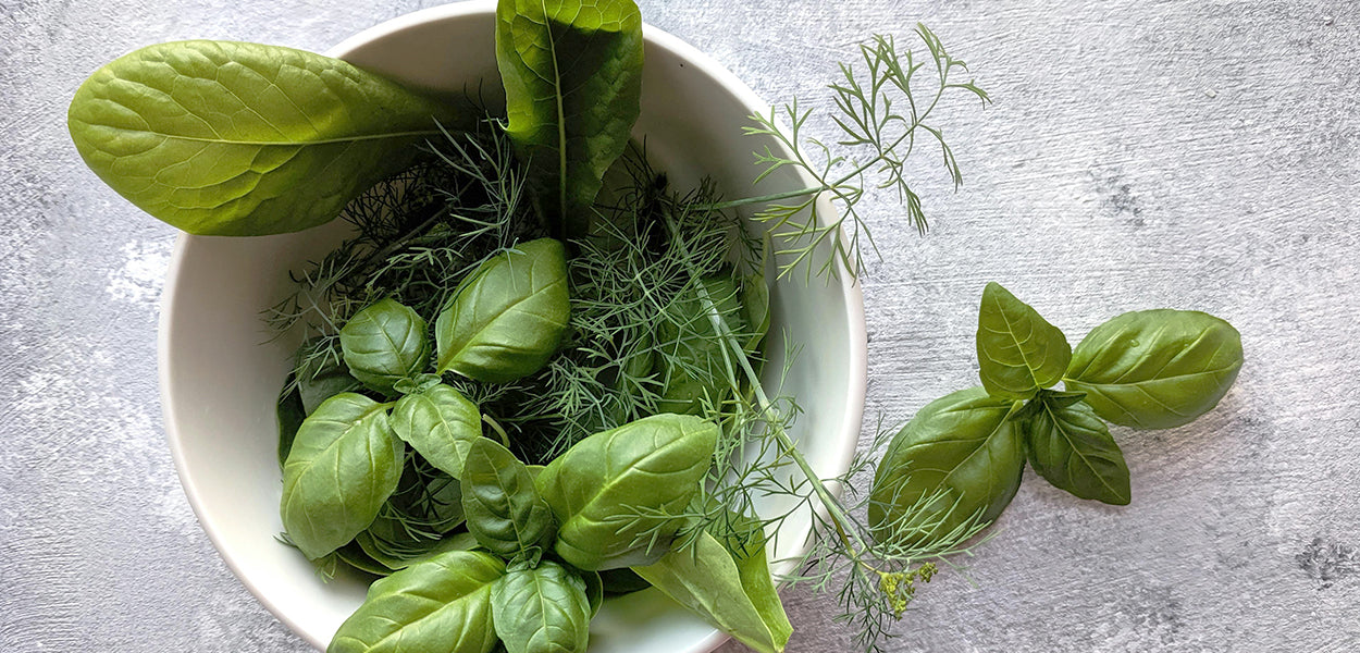 How To Store Fresh Herbs For A Longer Shelf Life
