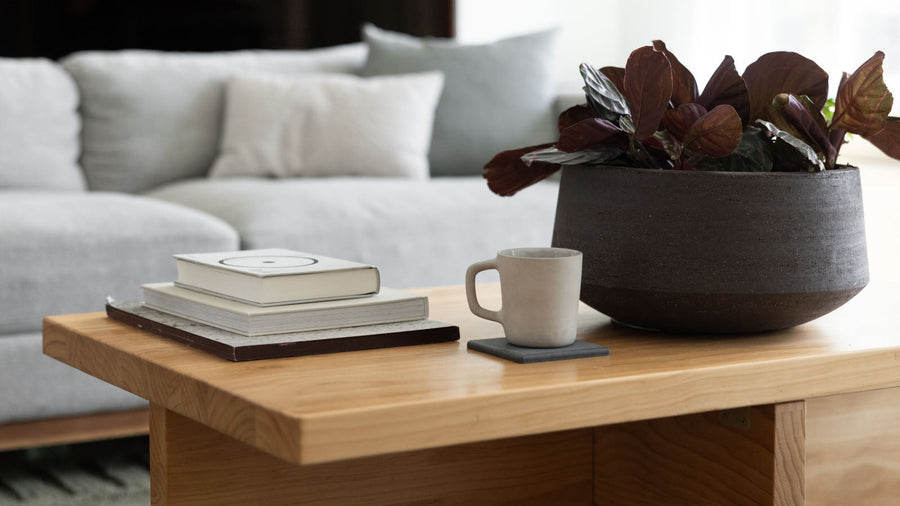 coffee table setup with books, cup and plant