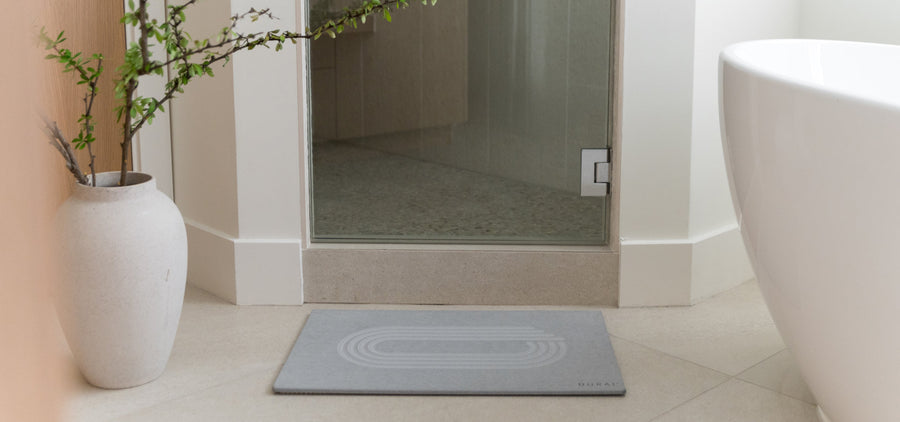 Back to School, Mold-Free: Essentials for a Cleaner, Smarter Dorm or Apartment