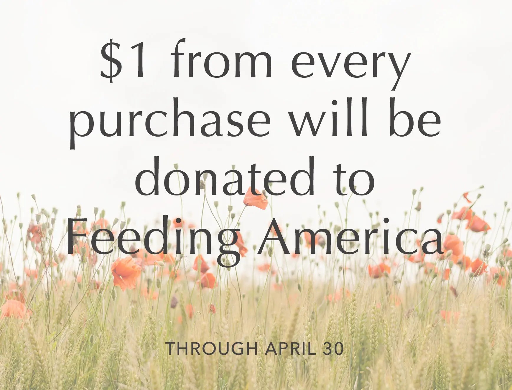 Stay Home & Support Feeding America