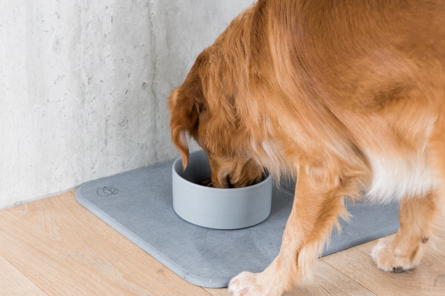 Dorai Dog Stone base in Sandstone color, designed to keep pet bowls elevated and dry.