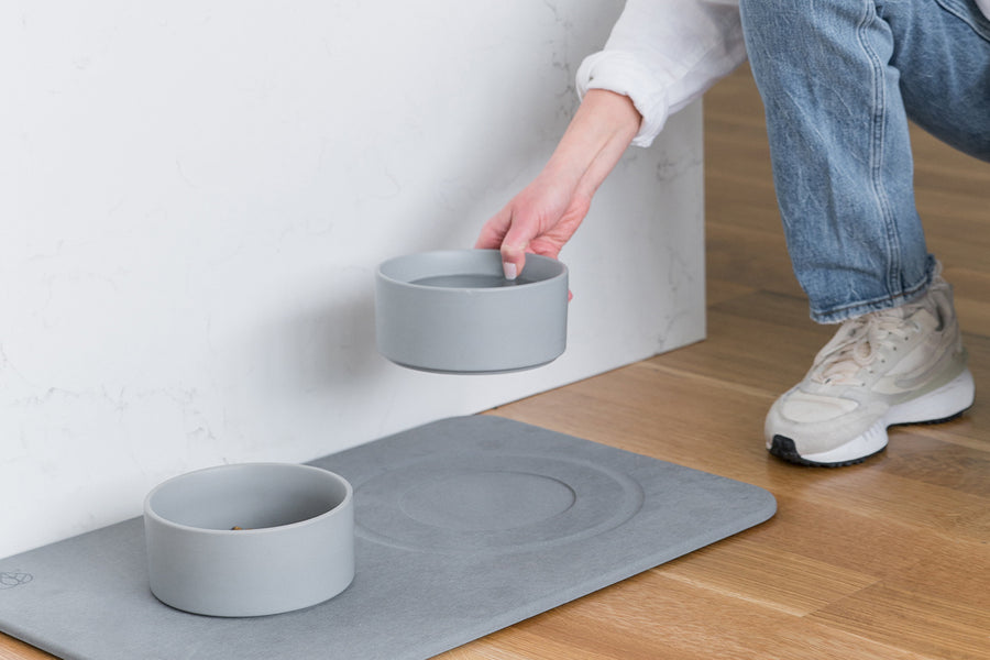 Dorai Dog Bowl Stone in Slate color, paired with dog bowls.