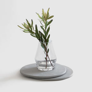 Two large Stone Plant Saucer with vase and cuttings. 