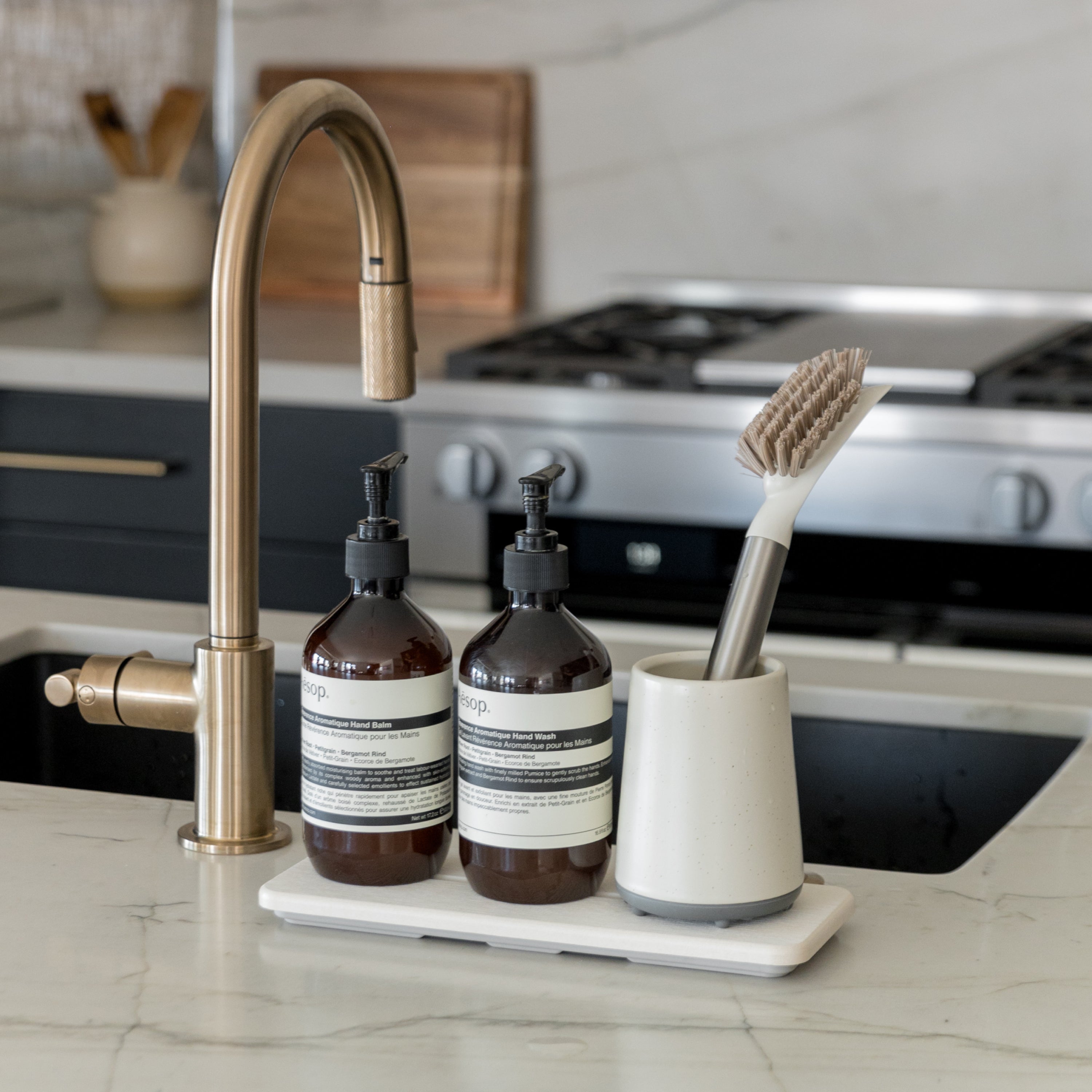 brush holder with soaps and sink organizer