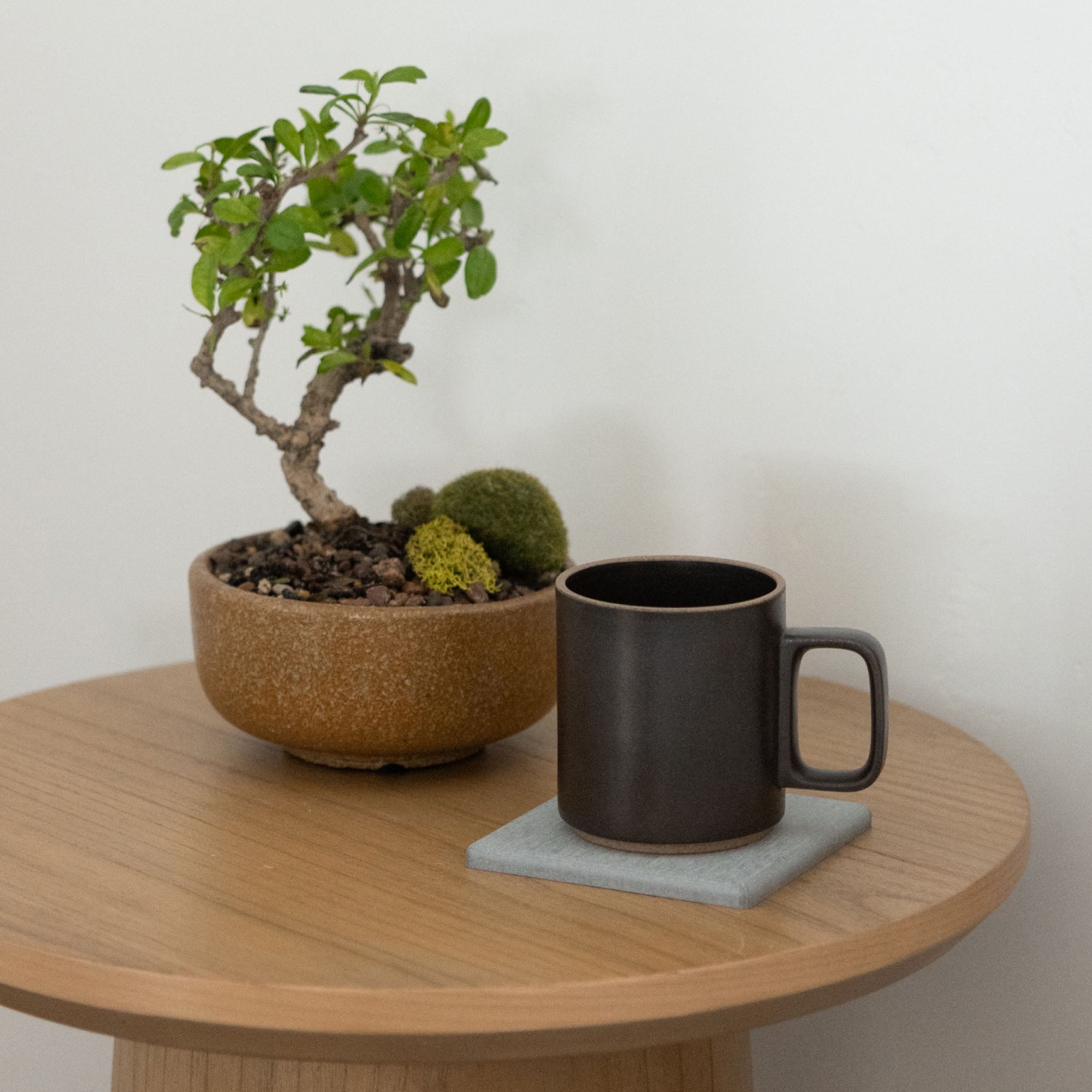 Large Ash Coaster with large mug.