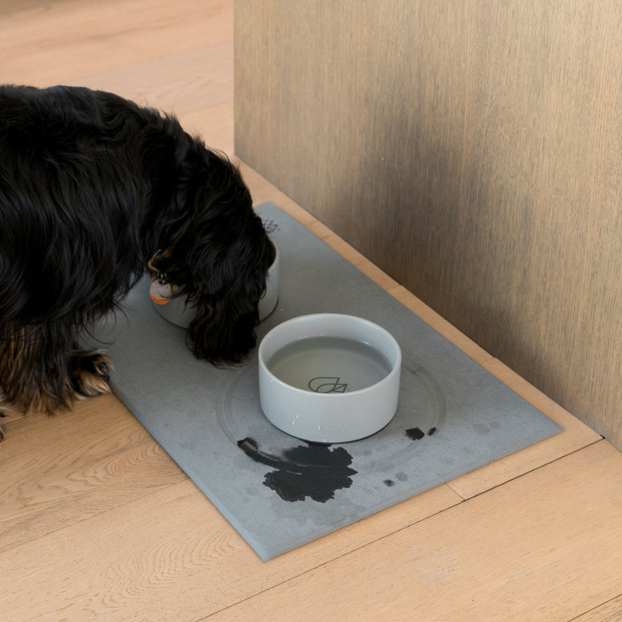 Dog drinking from a bowl on a mat with a water spill on a wooden floor.