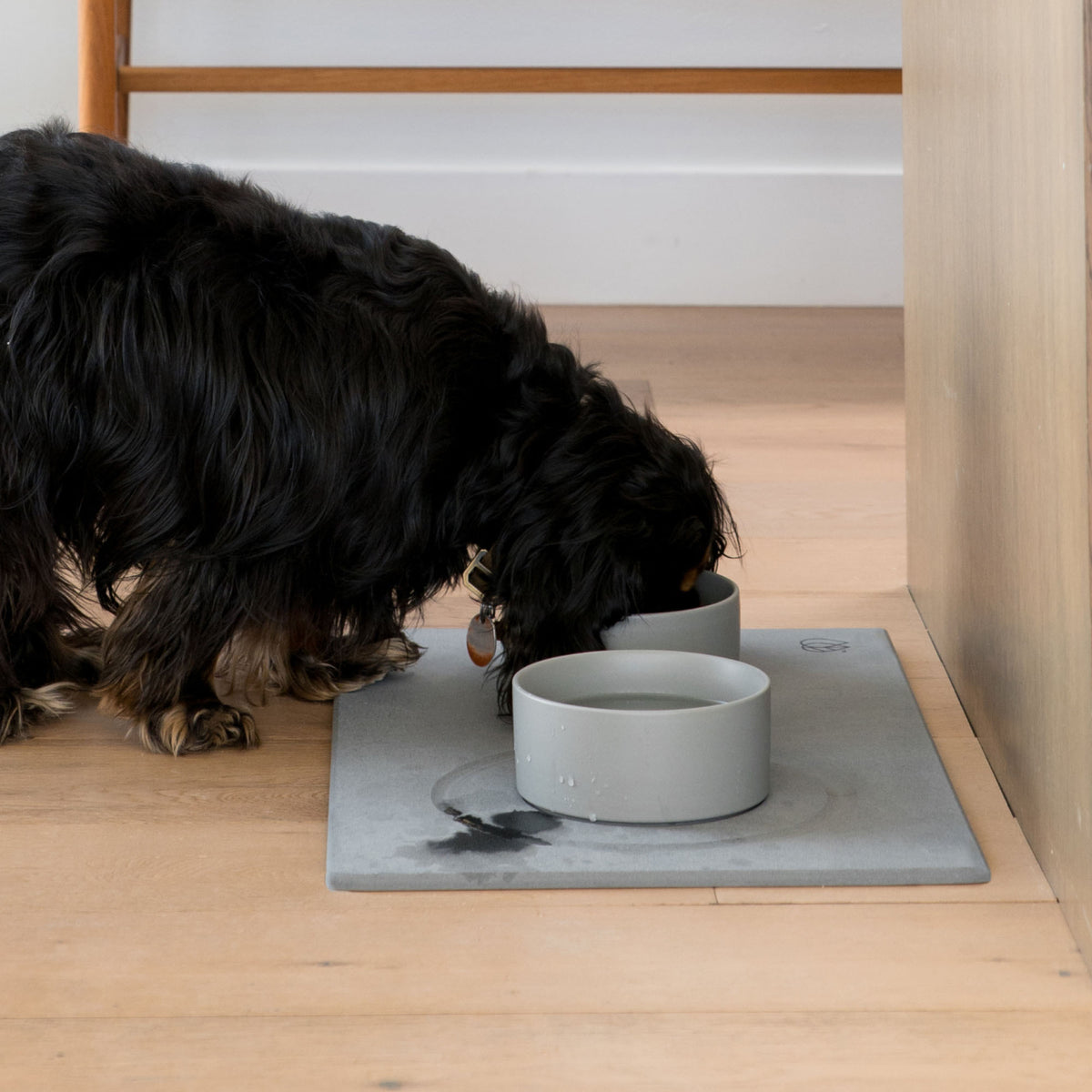 Dog drinking from bowl on quick-drying stone base mat that keeps bowls in place and dries drips.