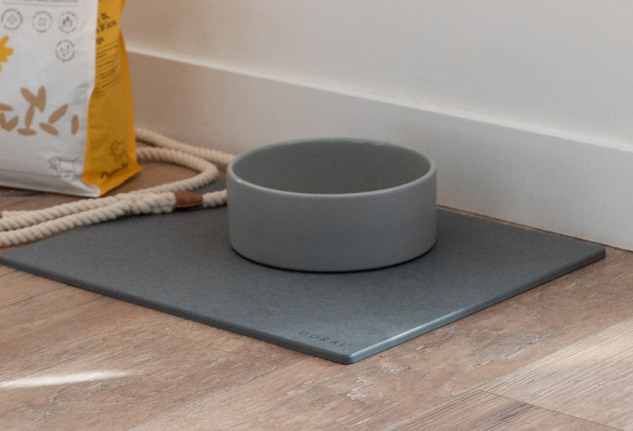 modern water dog bowl on top of quick-drying stone base