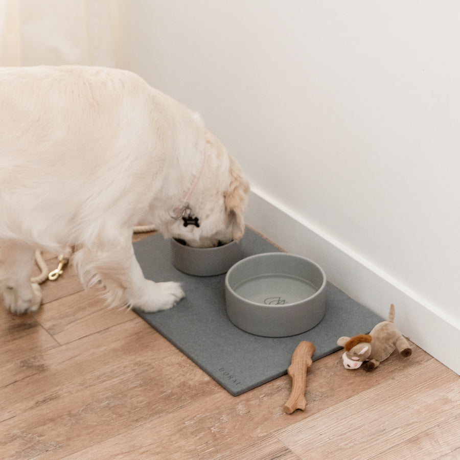 large dog eating from feeding station