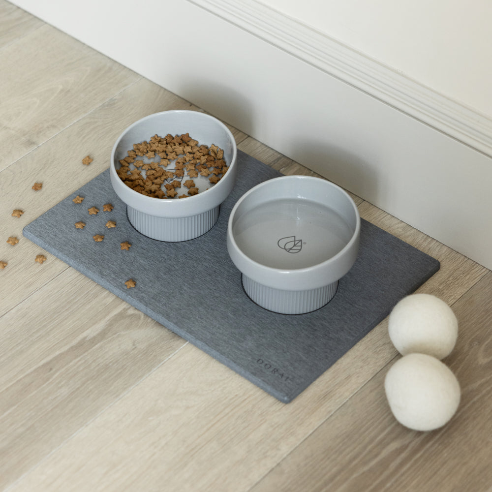 Two pet bowls on a gray mat with scattered kibble on a wooden floor.
