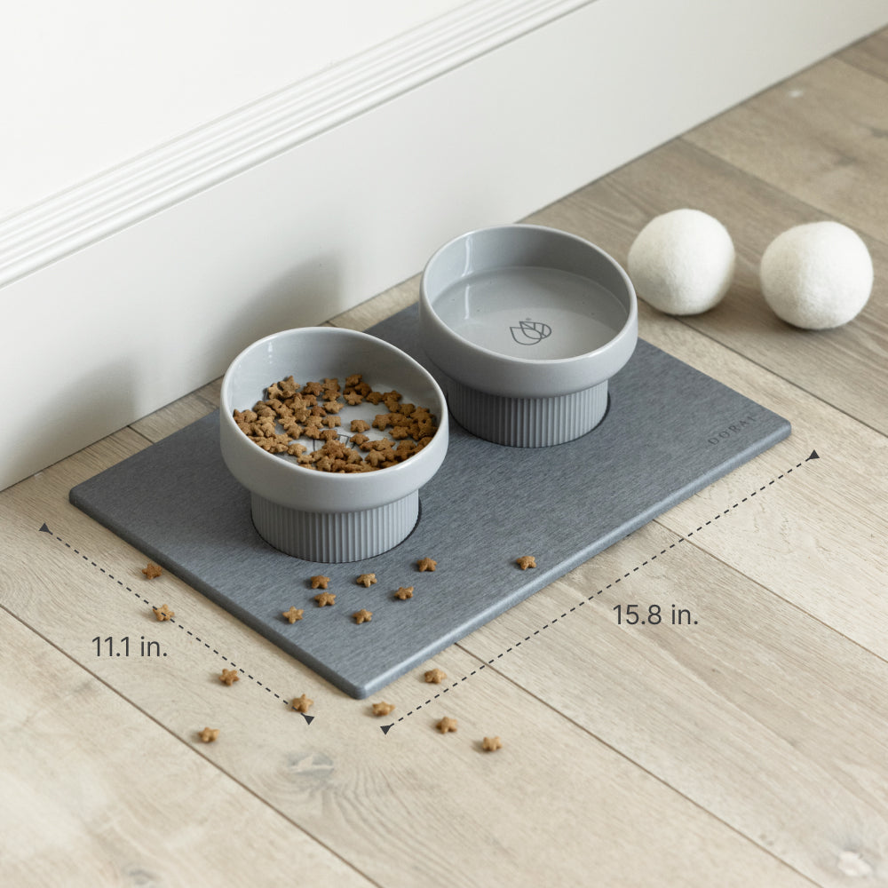 Two gray pet bowls with food on a mat on a wooden floor.