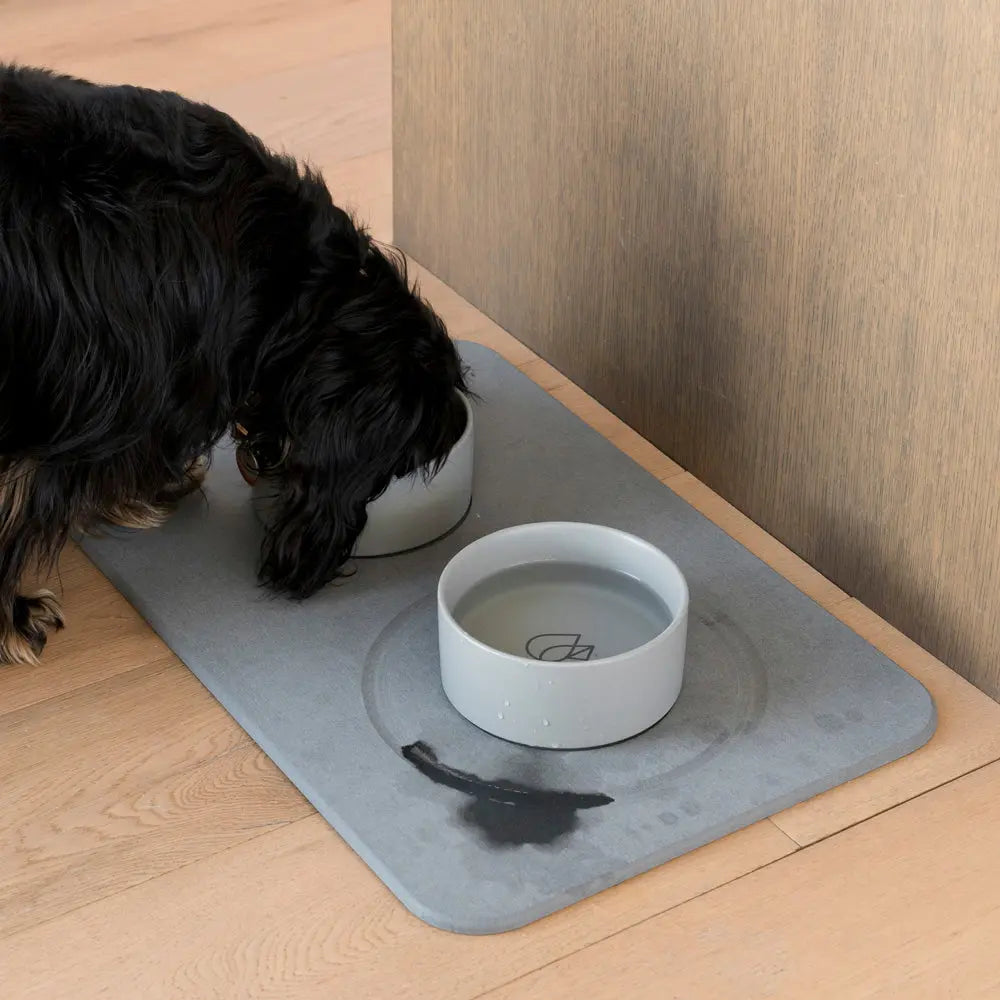 Absorbent dog bowl mat best sale