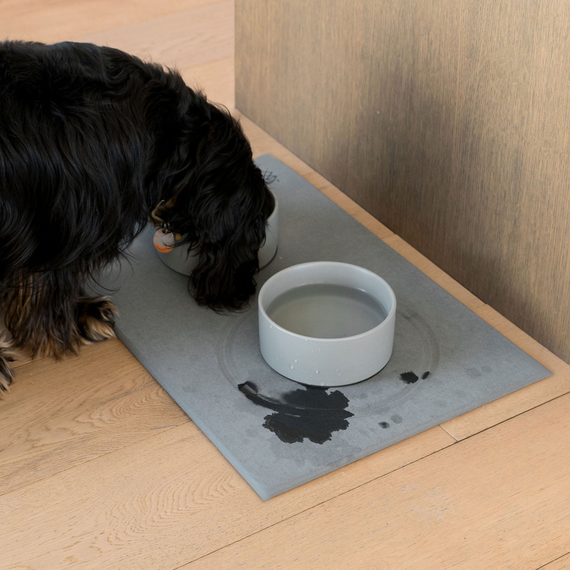 Dog drinking on top of quick-drying stone mat. 