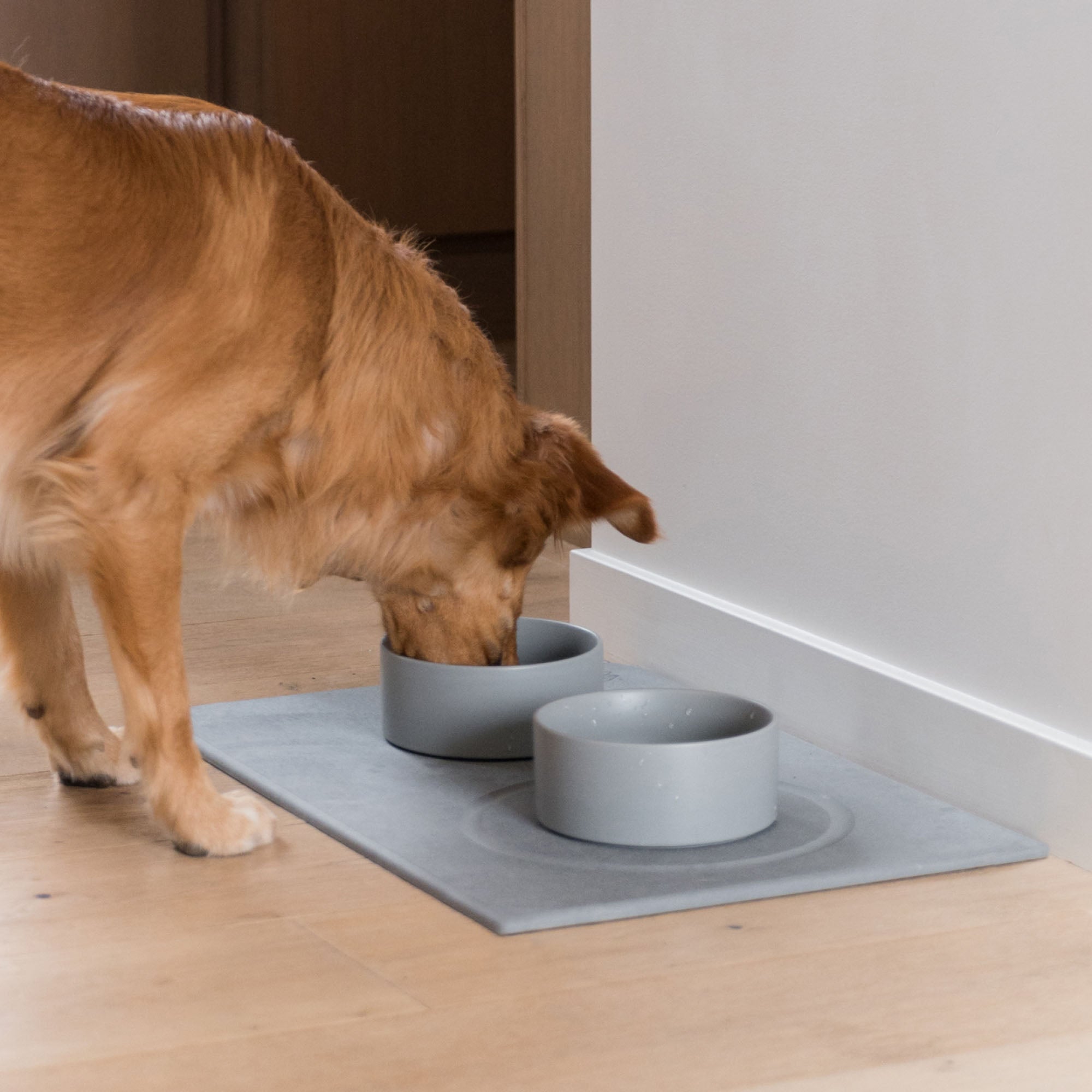 Dog drinking from bowls on stone base with water gutter. 