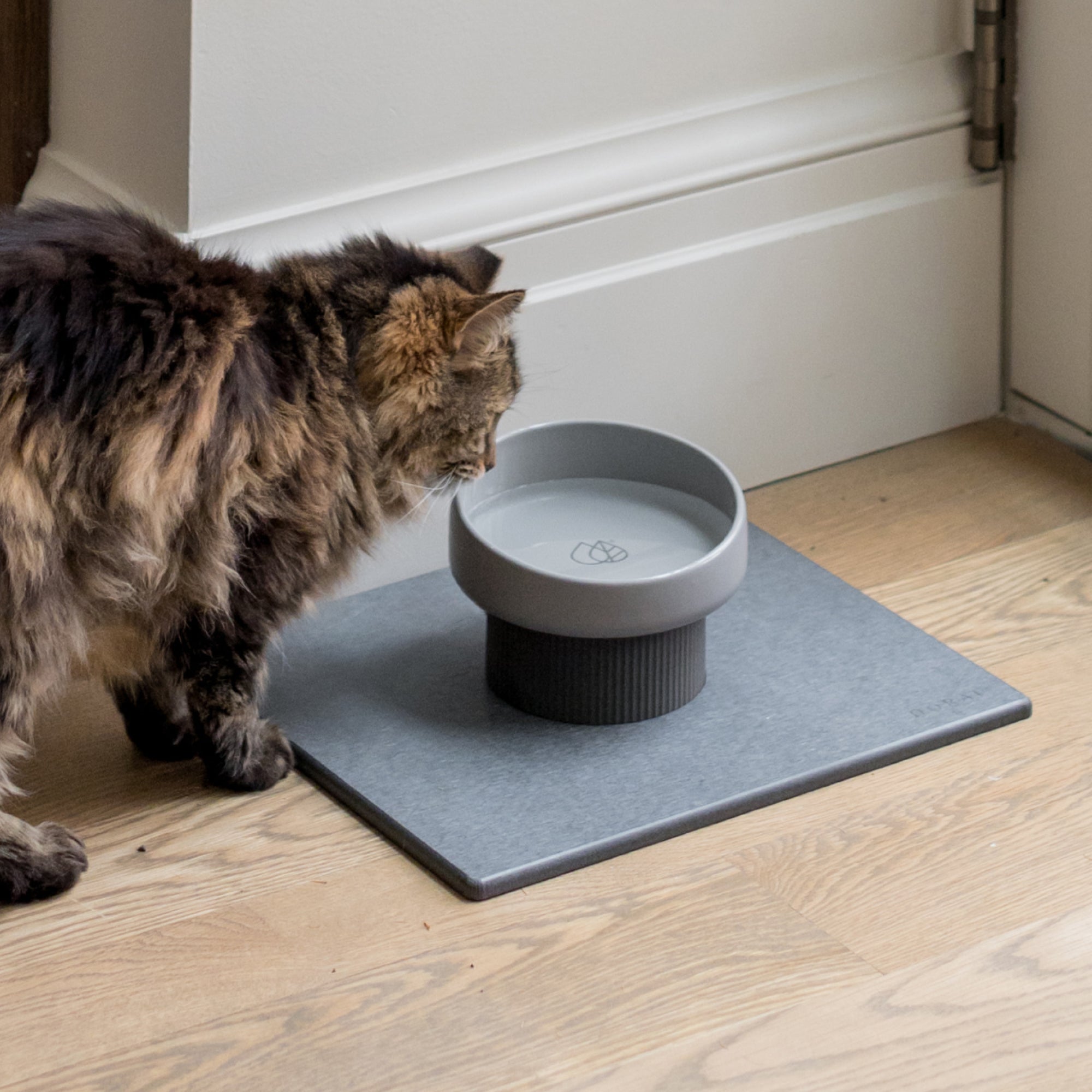 Elevated Cat Bowl + Stone Base