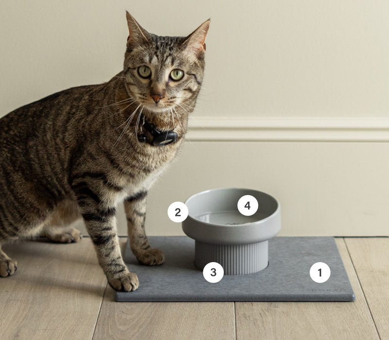 Elevated Cat Bowl on Stone Base numbered 1-4.