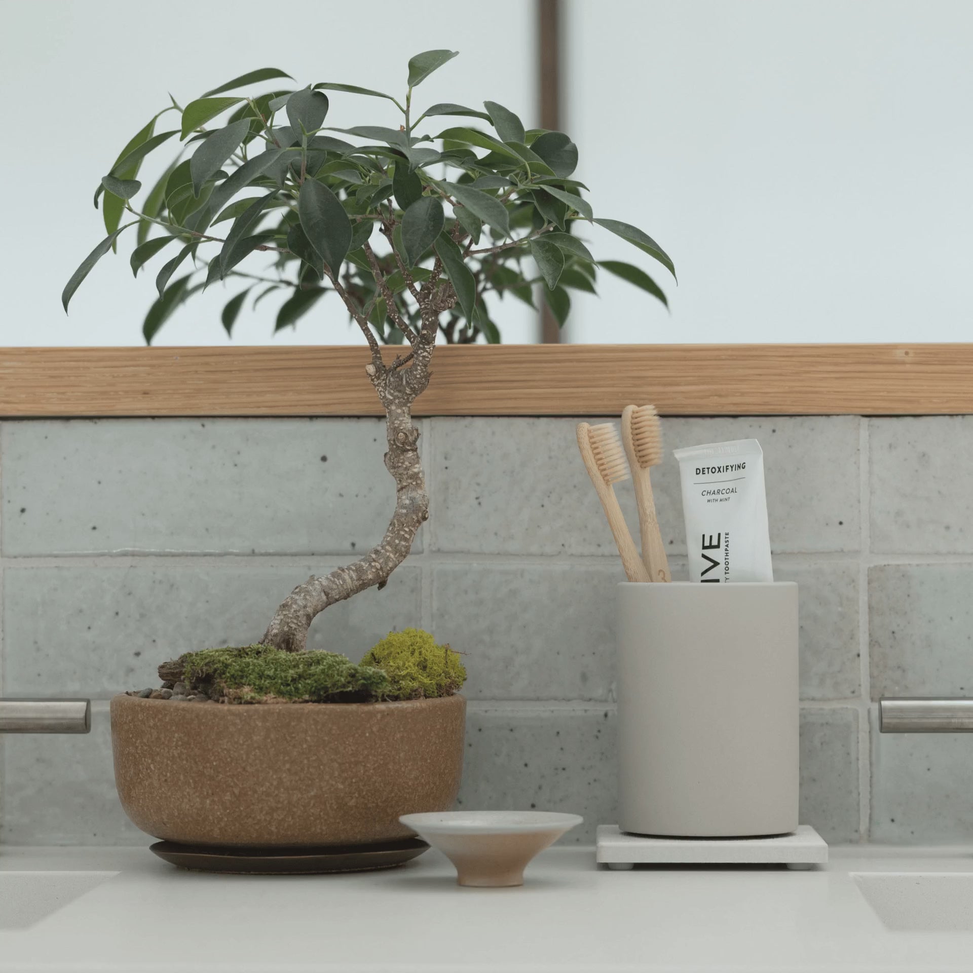 Soap Caddy 2-Pack