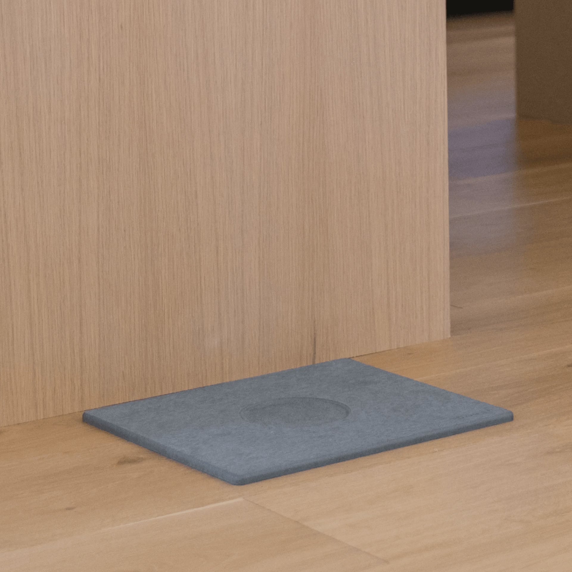 Elevated Cat Bowl keeps food and water bowls off of the mat. 
