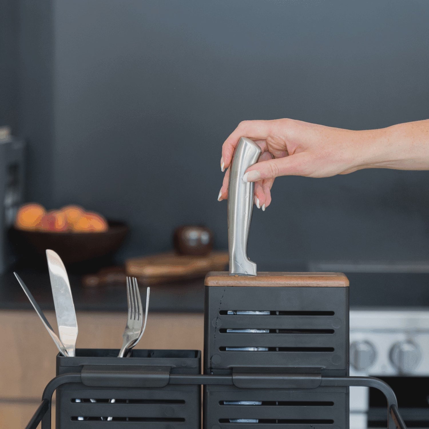 Dish Rack