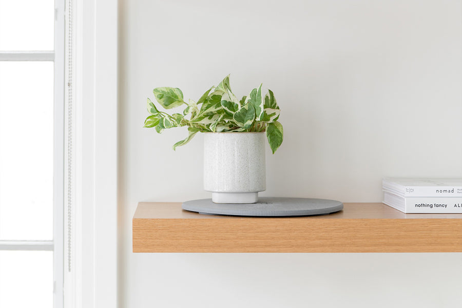 Dorai Stone Saucers product image, featuring the saucers under a watering plant.