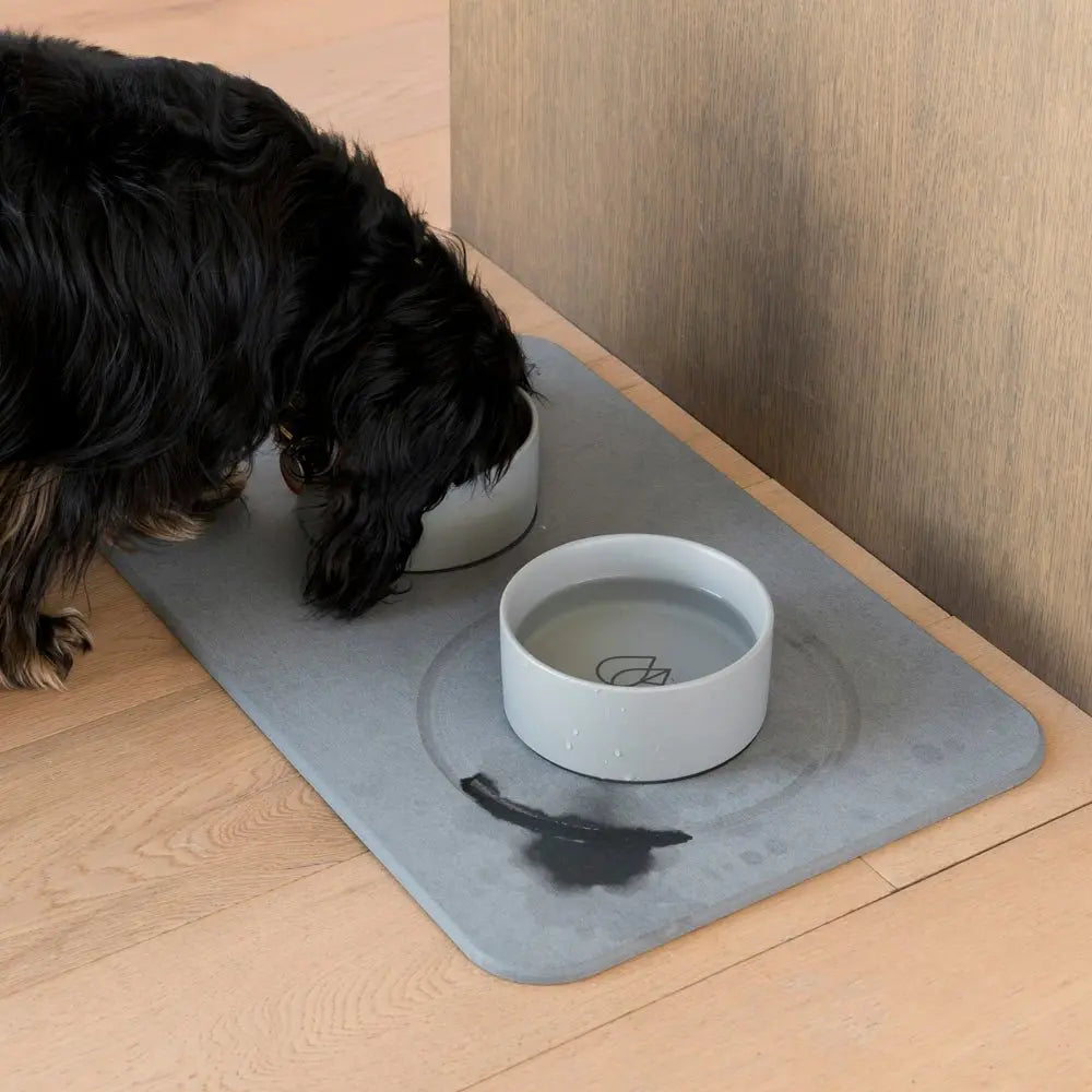 Dog Bowls + Stone Base – Dorai Home