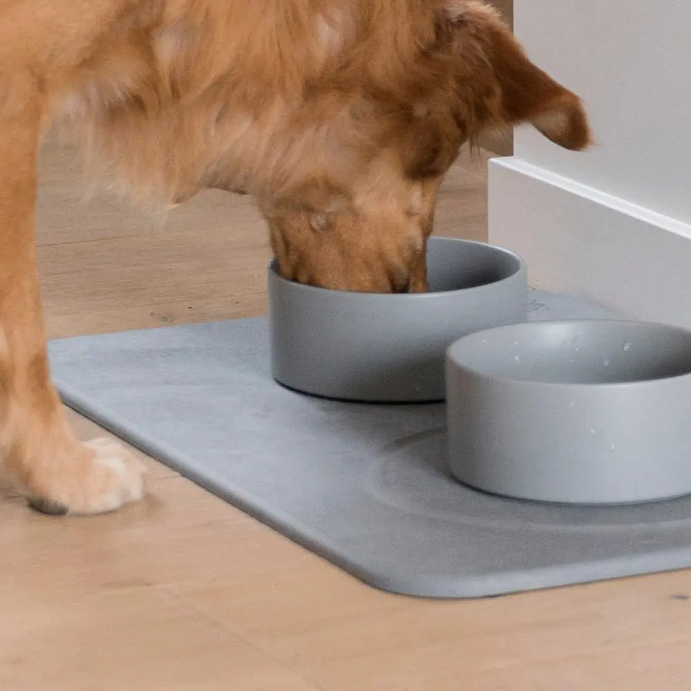 Dog Bowls + Stone Base – Dorai Home