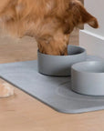 Dog Bowls