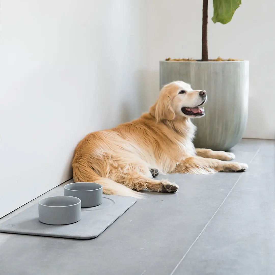 Dog Bowls + Stone Base