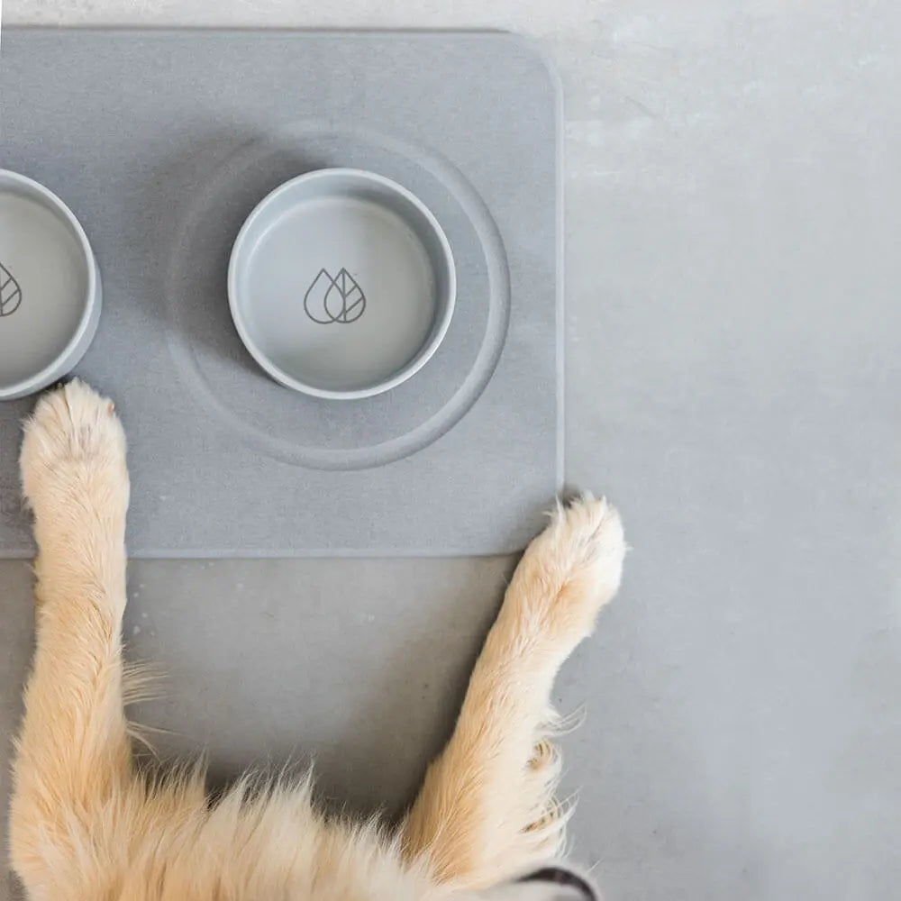 Dorai Dog Bowls and Stone with dog paws