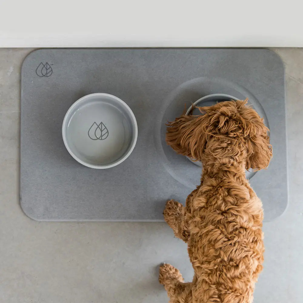 Original Dog Bowls (PARTS)