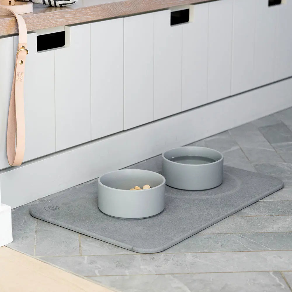 Dog Bowls and Stone Base in mud room