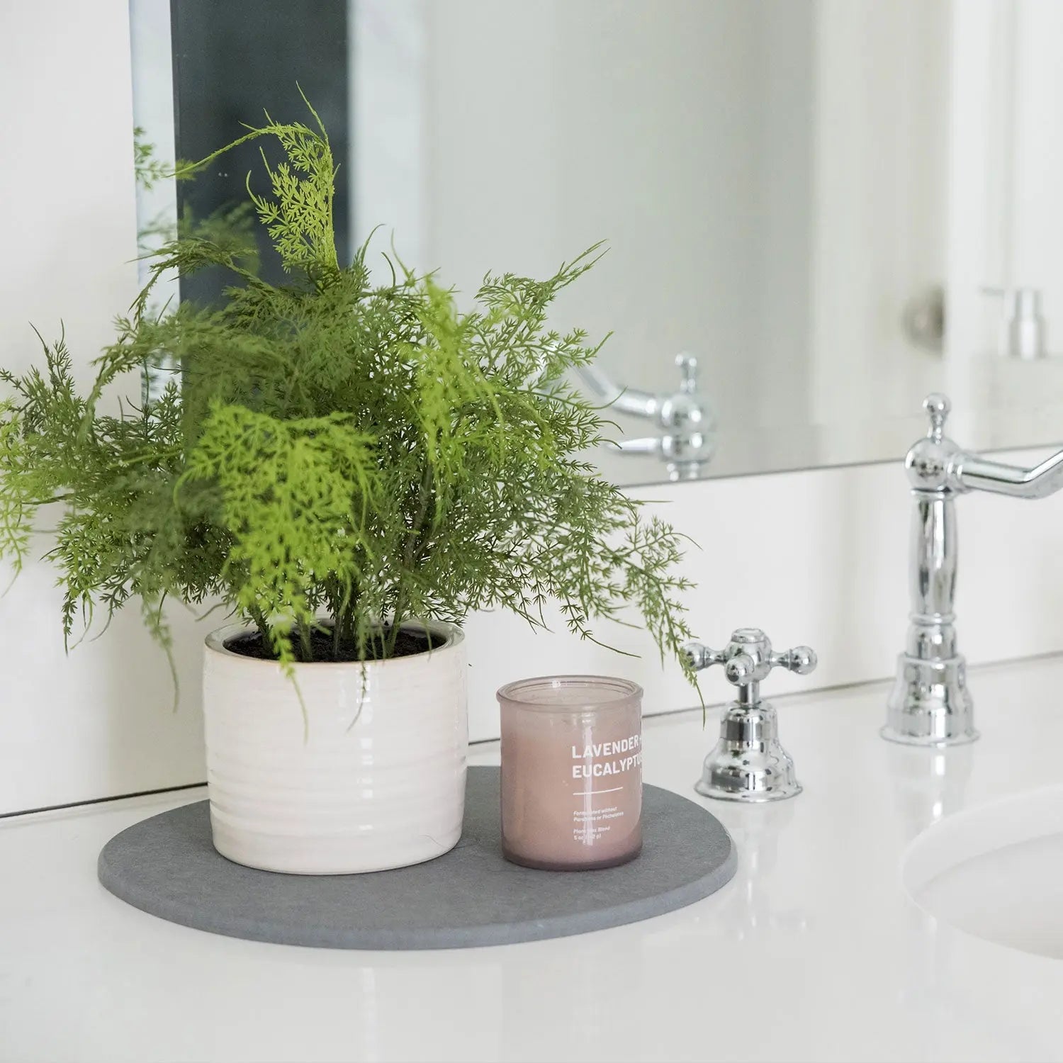 Plant Saucer (Open Box) - 2 Large