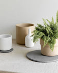 Plant Saucer - 1 Small & 1 Large